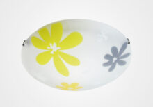 LUMINARIA PLAFON CRISTAL MATE DECORADO MX-PF7009