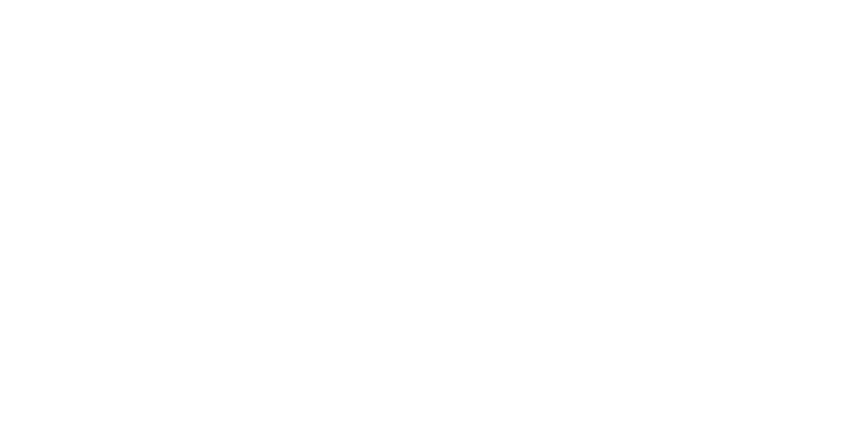 El Nuevo Electricista